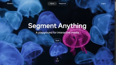 Segment Anything Playground (이미지·영상 객체 분리)
